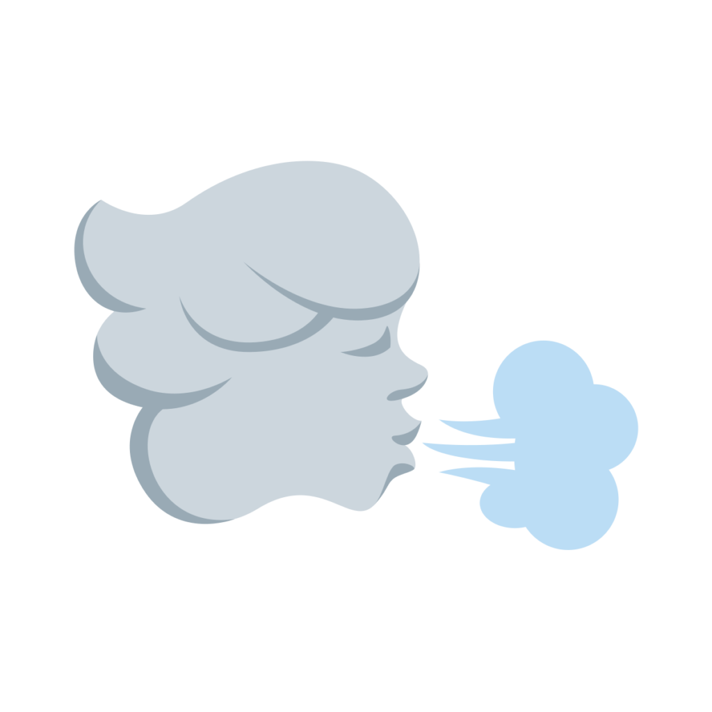 Wind Face Emoji